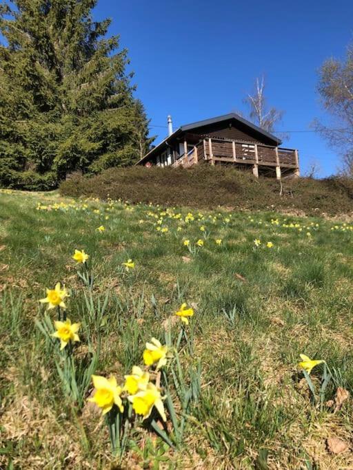 Le Chalet Des Coeurs Ле-Толи Экстерьер фото