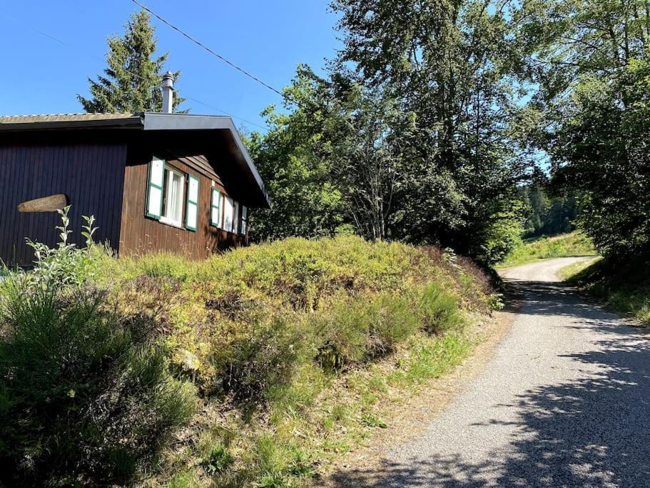 Le Chalet Des Coeurs Ле-Толи Экстерьер фото